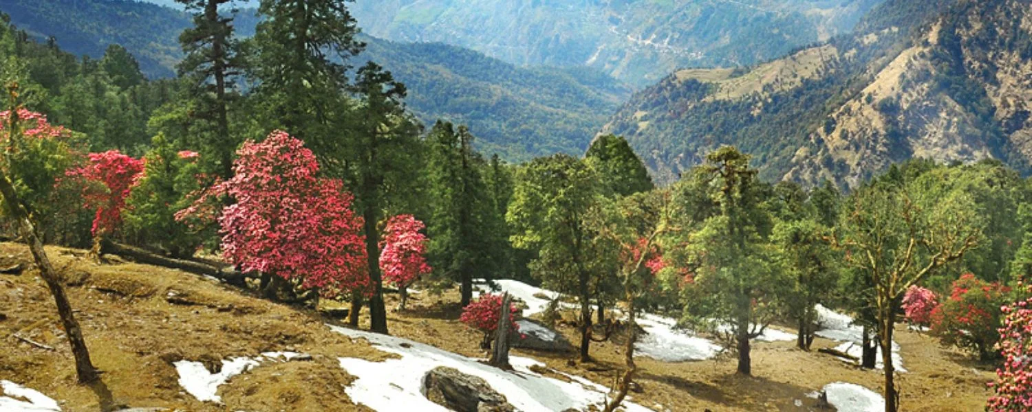 Almora Tours