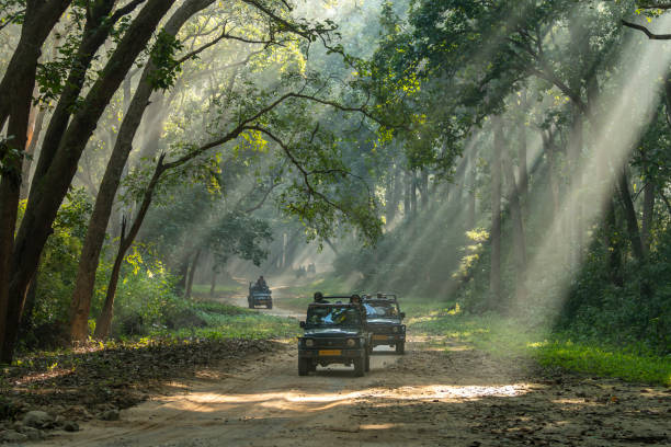 Jim Corbett National Park Tours
