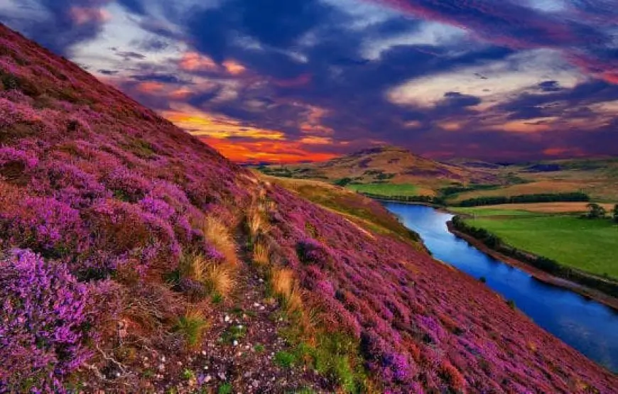 Flowers National Park Tour