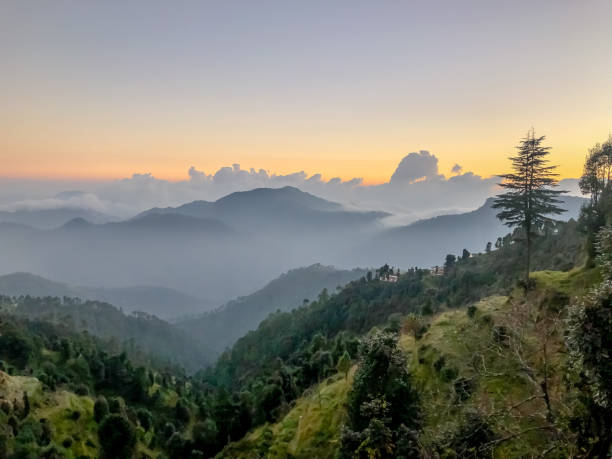 Dhanaulti Tours