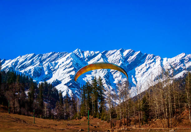 Manali Tour Packages: Discover the Beauty of the Himalayan Paradise