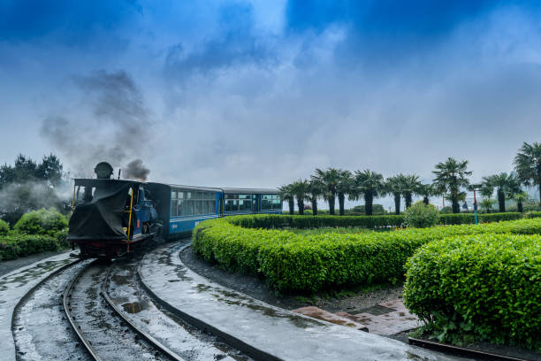 Enjoy a Toy Train Ride